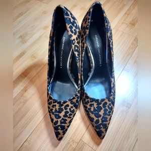 Zara collection leopard